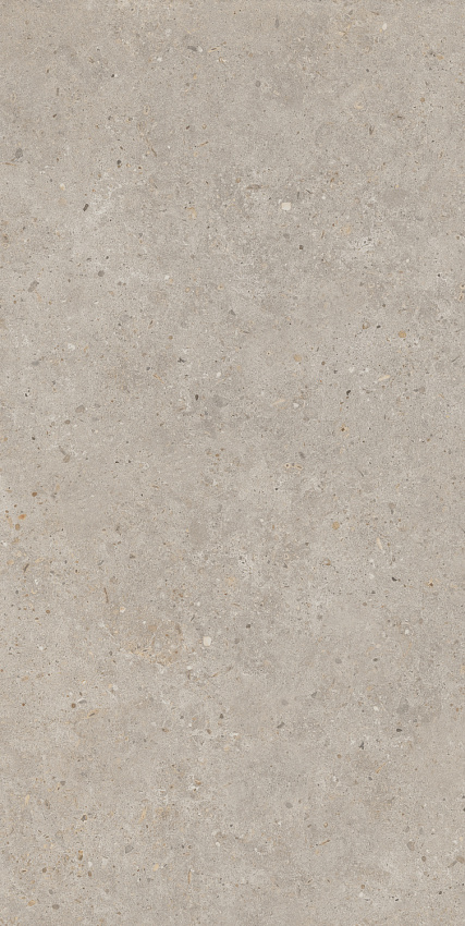 Риккарди Керамогранит бежевый матовый обрезной SG540620R 60x119,5