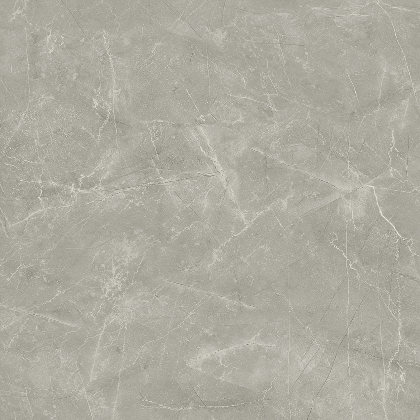 Wolf Grey Керамогранит 80х80 Сатинированный